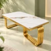Elegant Modern Nesting Coffee Table Set of 2 in stainless steel