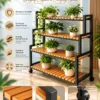 Norvik 4 tier rolling shoe rack with wooden-look slatted shelves and caster wheels
