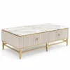 Elvessa Luxe white marble centre table with fluted storage body, gold knobs and gold PVD stainless steel legs on a white background.